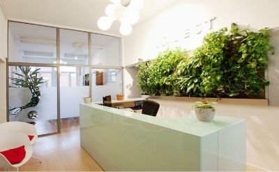 piante da ufficio milano